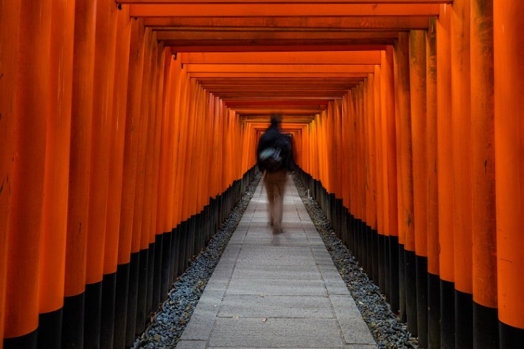 35 Kyoto, fushima inari shrine.jpg